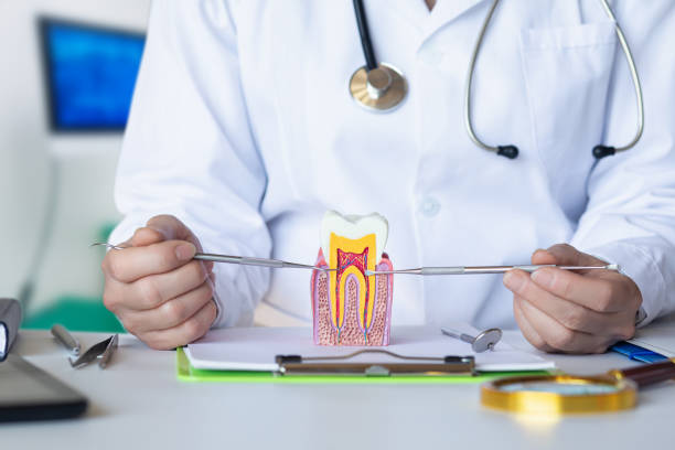 Best Emergency Root Canal Treatment in White House Station, NJ